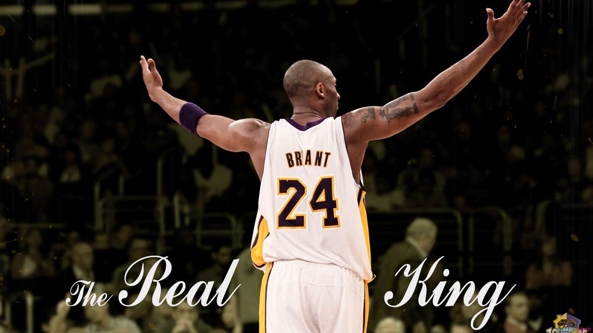 《Xiaohu:多赛季稳定发挥,展现领袖魅力》